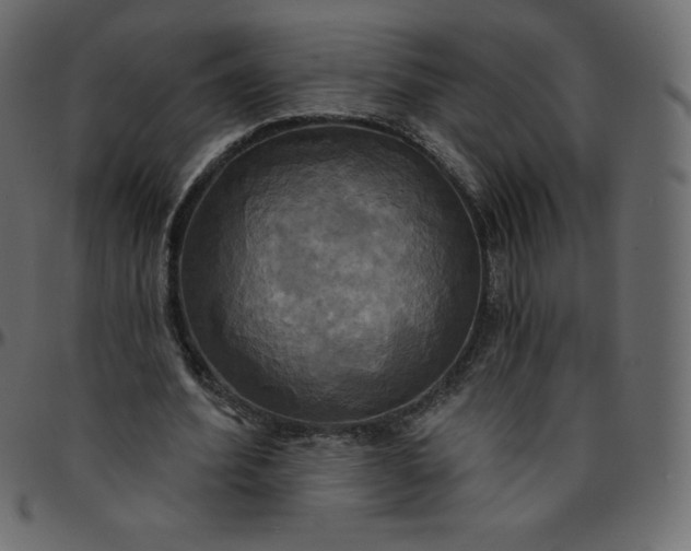 X0000095680580200801221228
