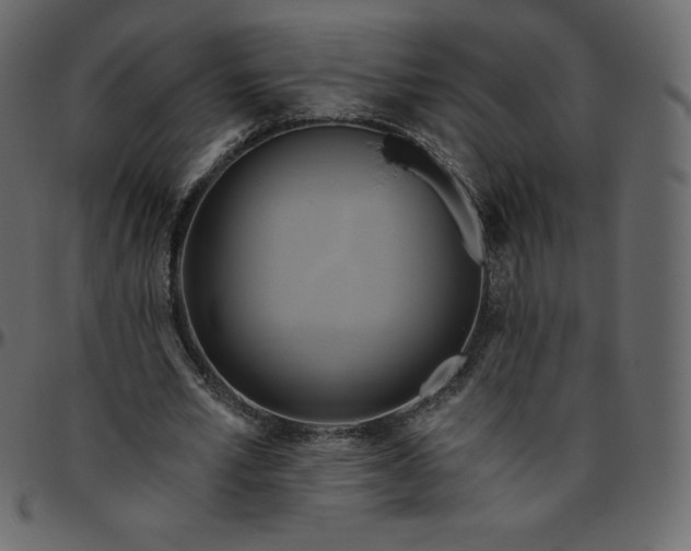 X0000095680581200801221227