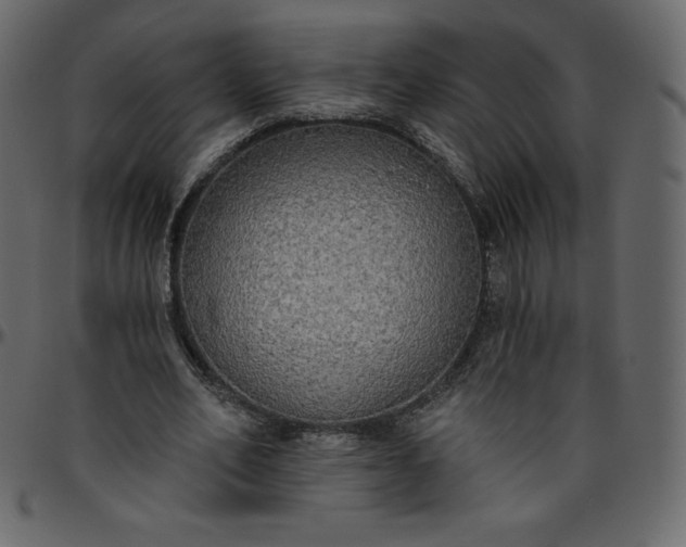 X0000095680582200801221227