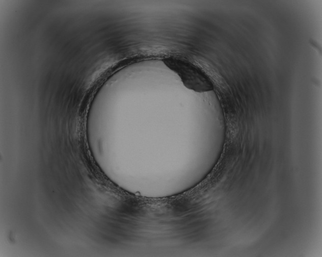 X0000095680583200801221227