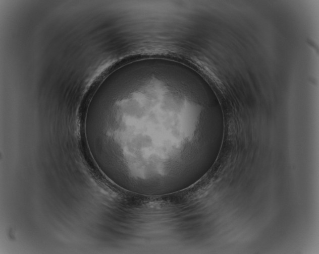 X0000095680584200801221227