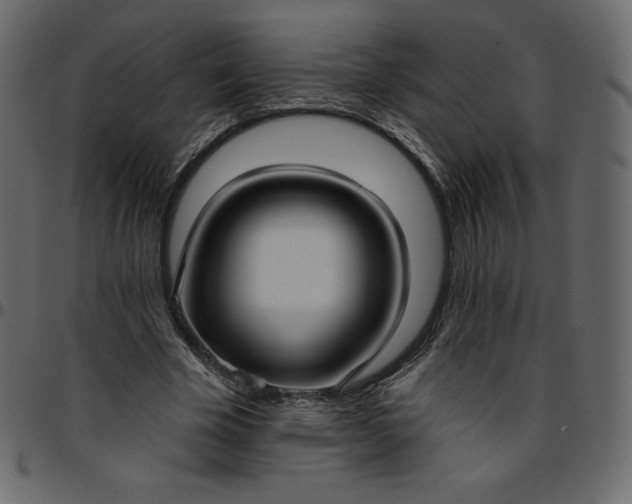 X0000095680585200801221227