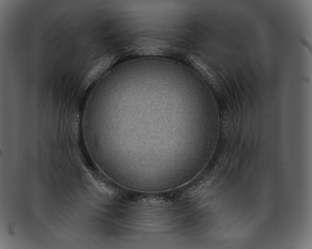 X0000095680586200801221227