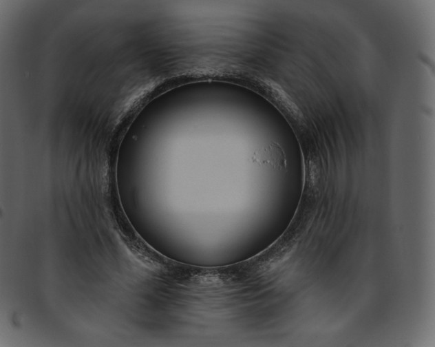 X0000095680588200801221227
