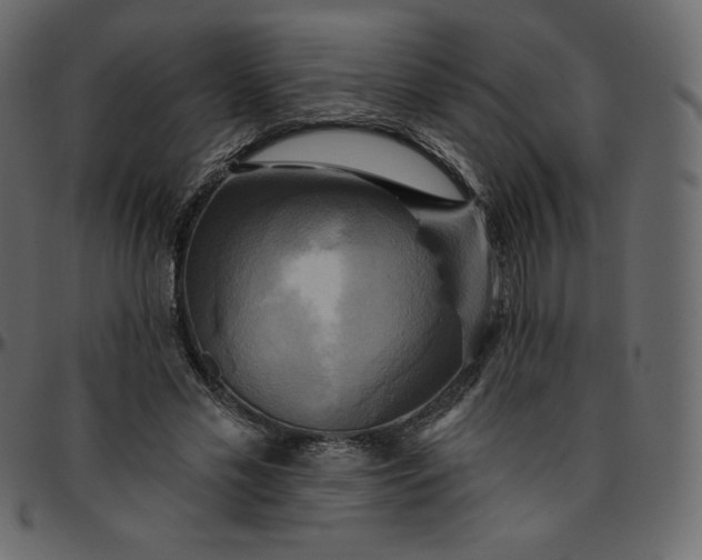 X0000095680589200801221227