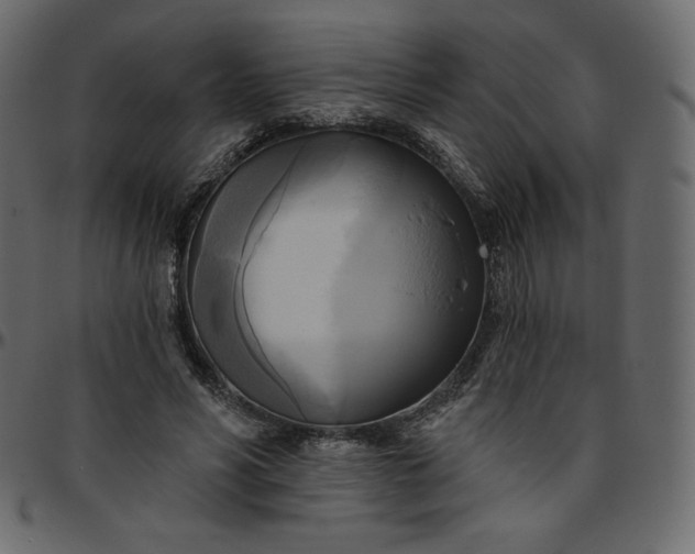 X0000095680590200801221227