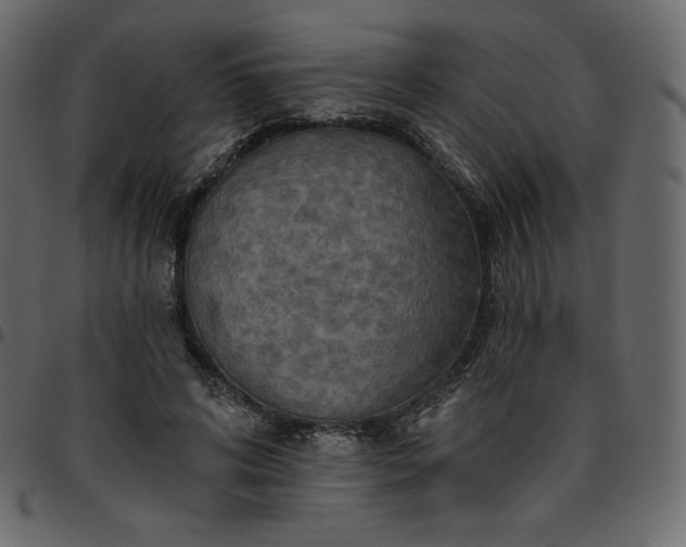 X0000095680592200801221227