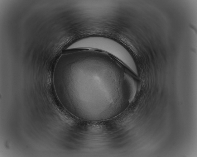 X0000095680593200801221227