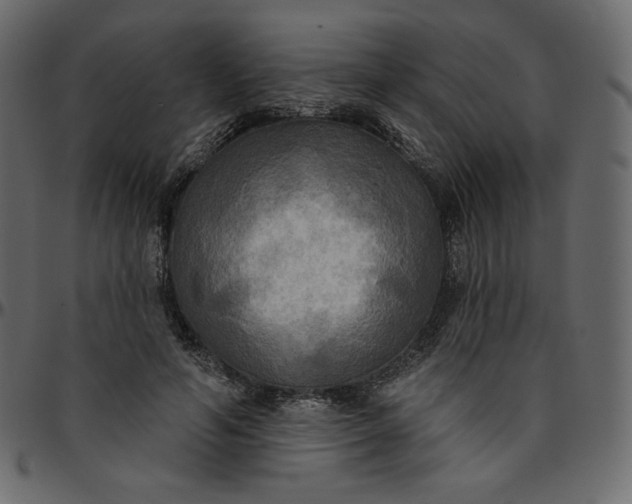 X0000095680594200801221227