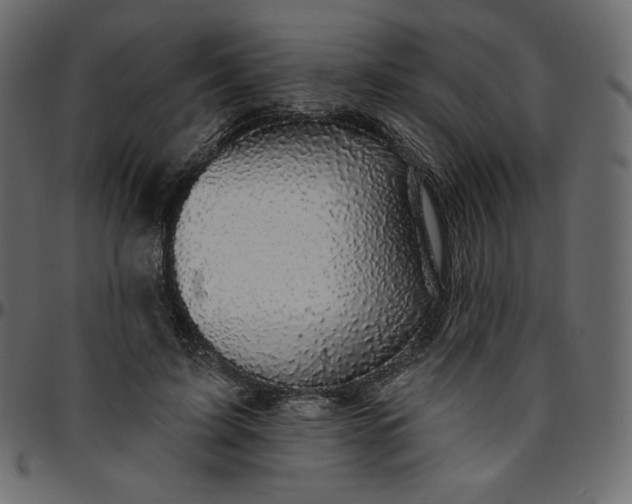 X0000095680595200801221227