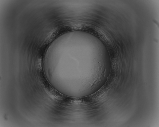 X0000095680598200801221227
