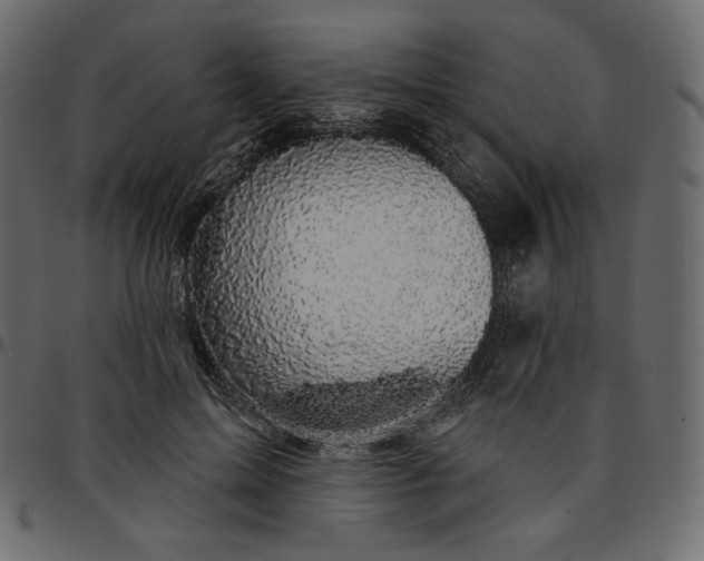 X0000095680599200801221227