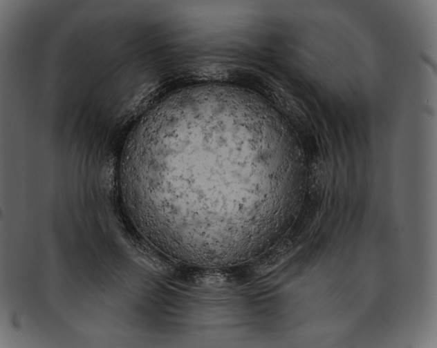 X0000095680600200801221227
