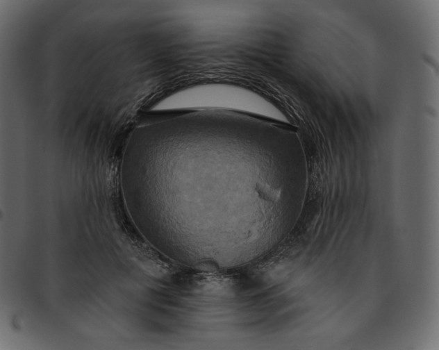 X0000095680601200801221227