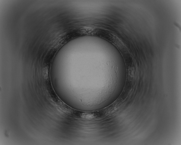 X0000095680602200801221227