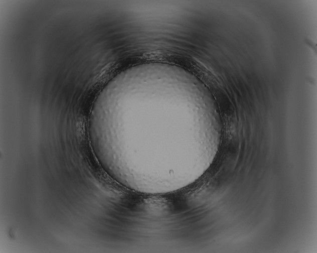 X0000095680603200801221227