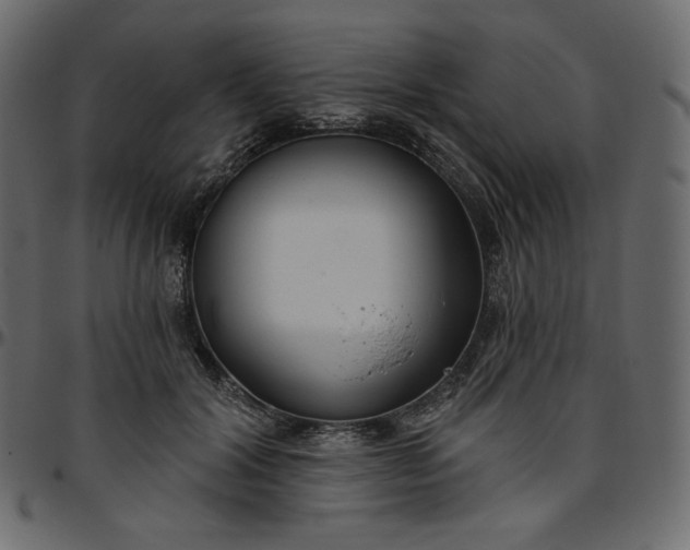 X0000095680604200801221227