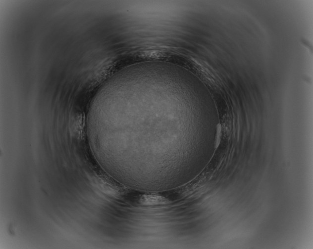 X0000095680605200801221227