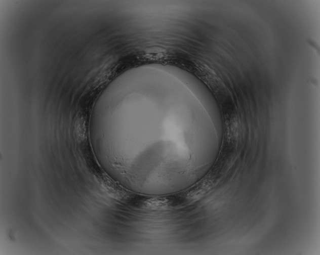 X0000095680606200801221227