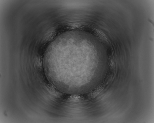 X0000095680607200801221227