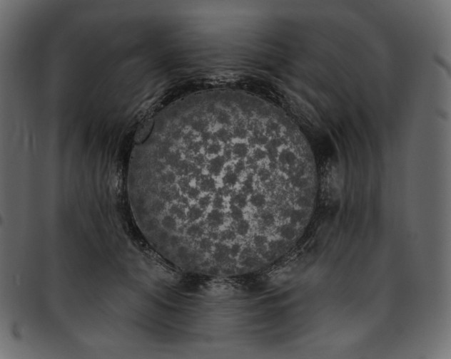 X0000095680608200801221227