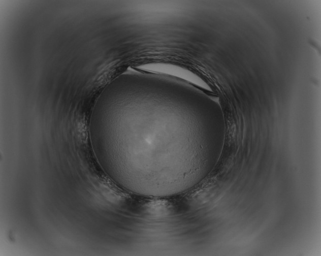 X0000095680609200801221227