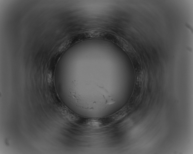 X0000095680610200801221227
