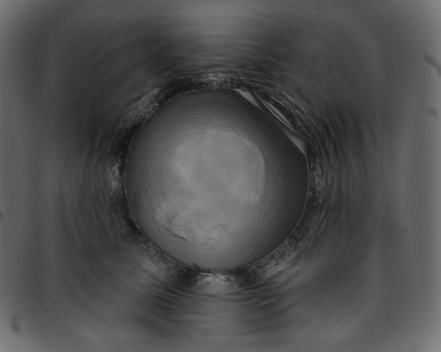 X0000095680611200801221227