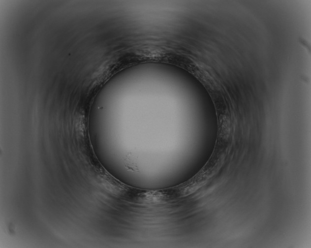 X0000095680612200801221227