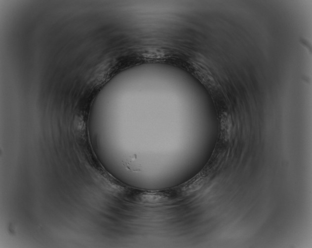 X0000095680614200801221227