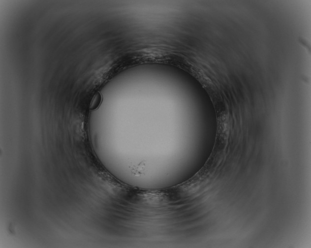 X0000095680615200801221227