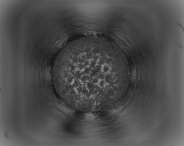 X0000095680616200801221227