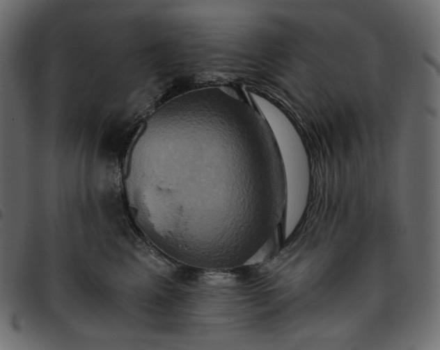 X0000095680617200801221227