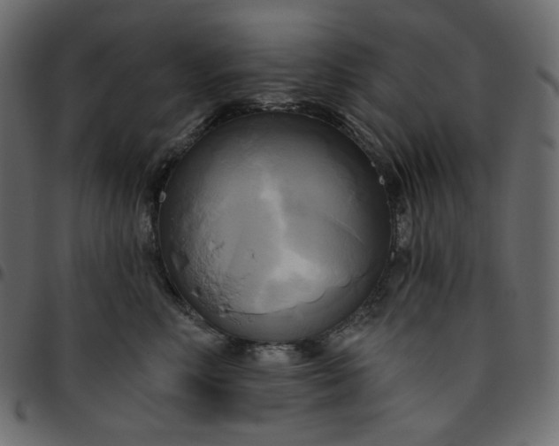 X0000095680618200801221227