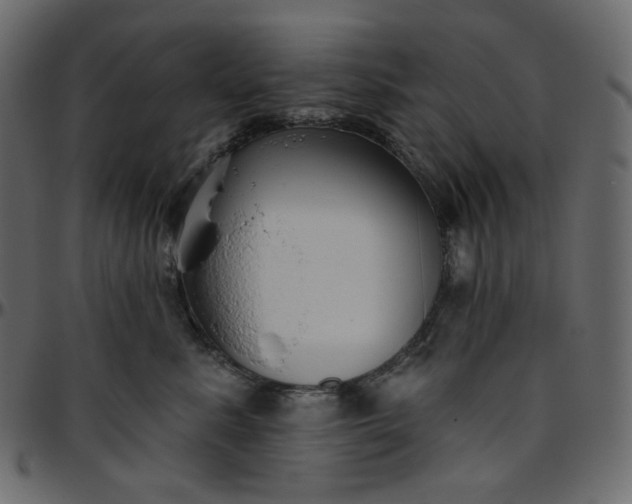X0000095680619200801221227