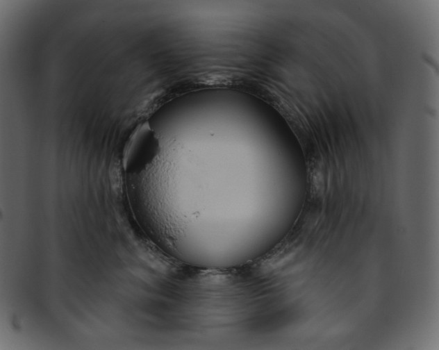 X0000095680620200801221227