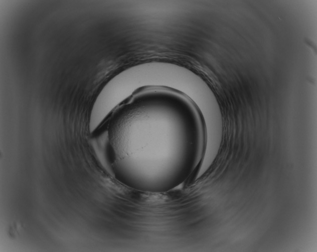 X0000095680621200801221227