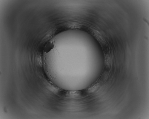 X0000095680622200801221227