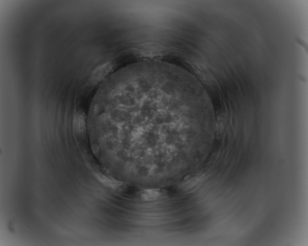 X0000095680623200801221227