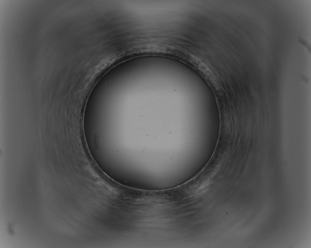 X0000095680625200801221226