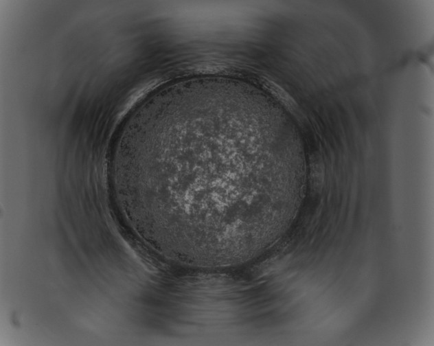 X0000095680626200801221226