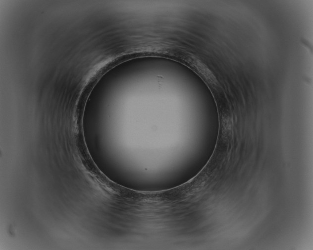 X0000095680628200801221226