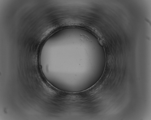 X0000095680629200801221226