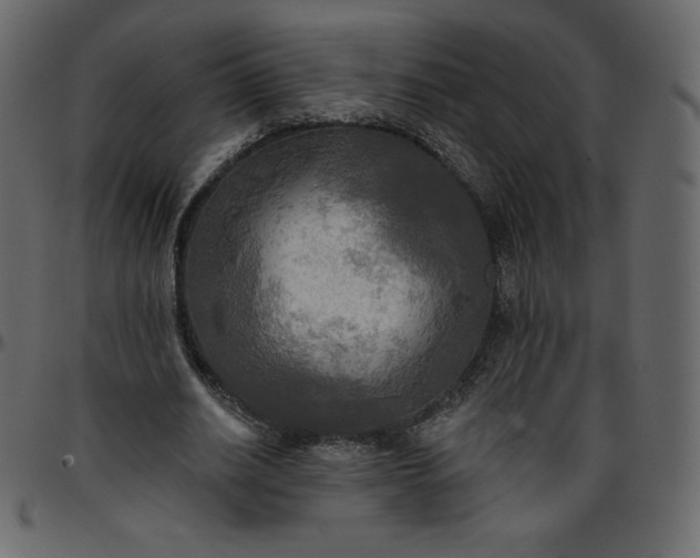 X0000095680630200801221226
