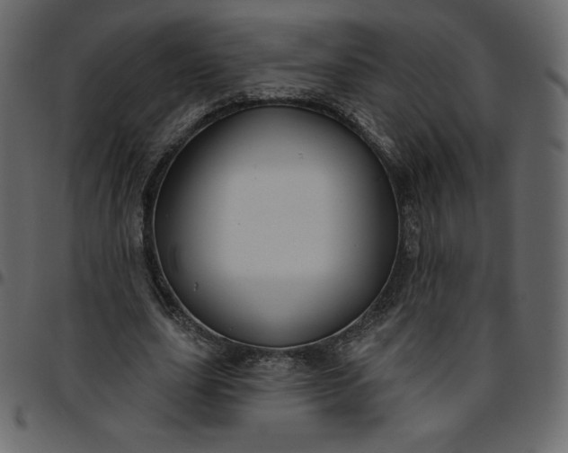 X0000095680631200801221226
