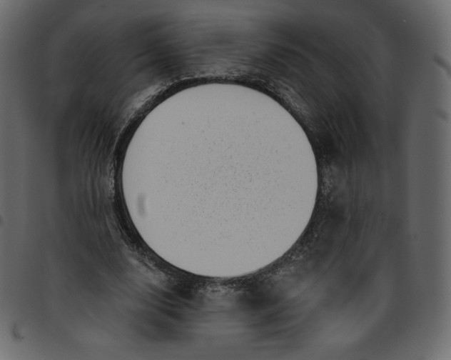 X0000095680632200801221226
