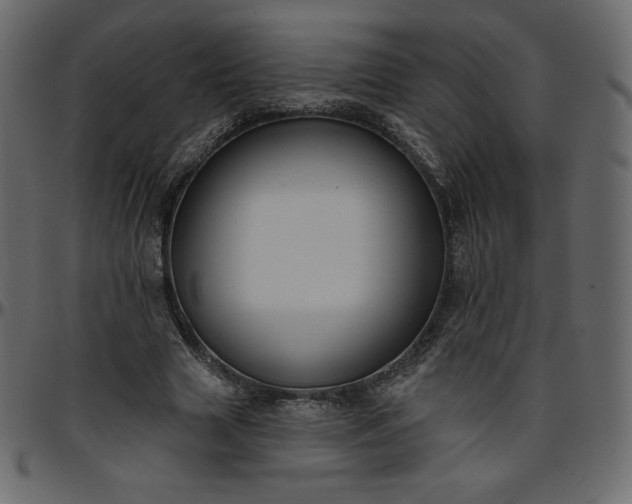 X0000095680633200801221226