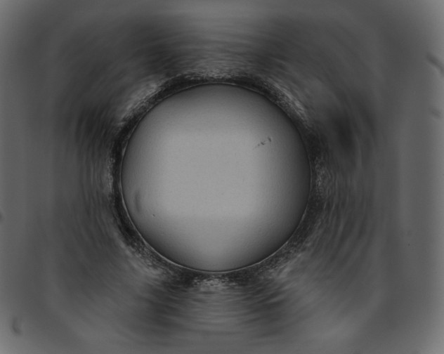 X0000095680635200801221226