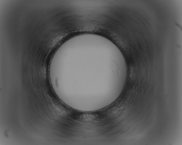 X0000095680636200801221226