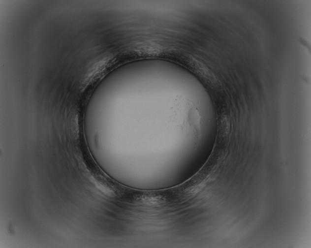 X0000095680638200801221226